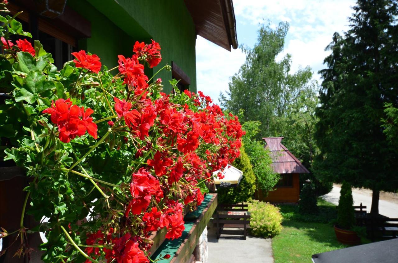 Villa Miris Dunja Zlatibor Exterior foto